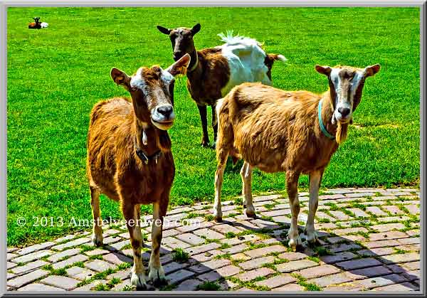 Amstelveen