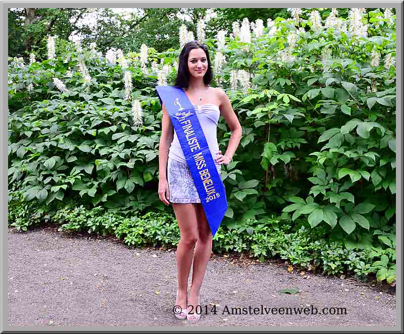 Foto Amstelveen