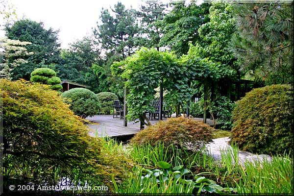 Japanse tuin Amstelveenweb