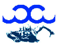 Nemo logo Amstelveen