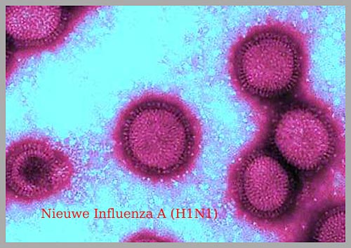 Influenzavirus Amstelveen