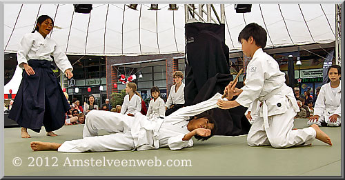 japan festival Amstelveen