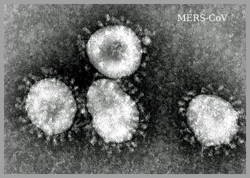 Coronavirus Amstelveen
