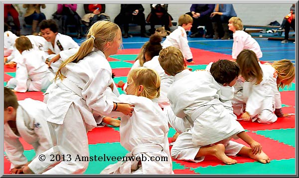 judo Amstelveen
